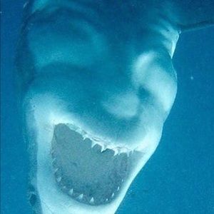 Meet your Posher, Alfonso